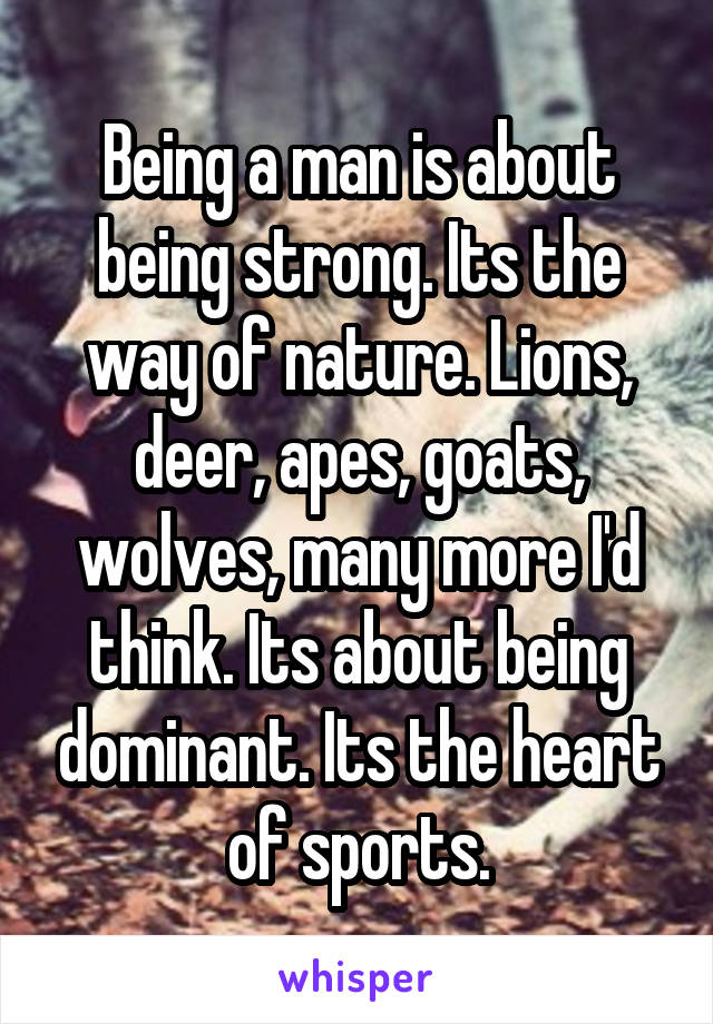 Being a man is about being strong. Its the way of nature. Lions, deer, apes, goats, wolves, many more I'd think. Its about being dominant. Its the heart of sports.