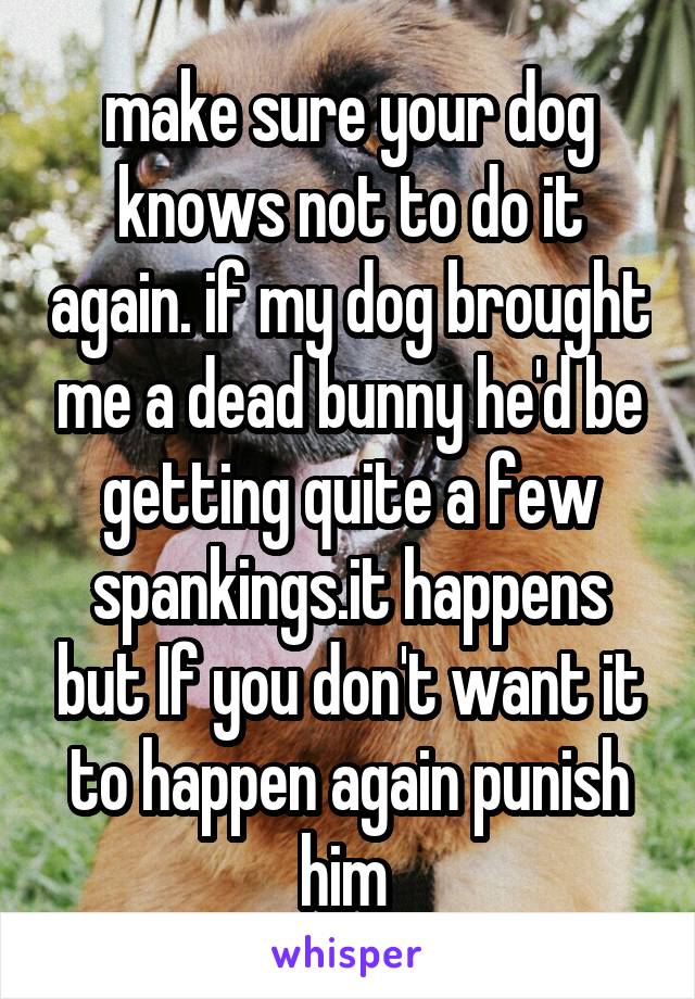 make sure your dog knows not to do it again. if my dog brought me a dead bunny he'd be getting quite a few spankings.it happens but If you don't want it to happen again punish him 