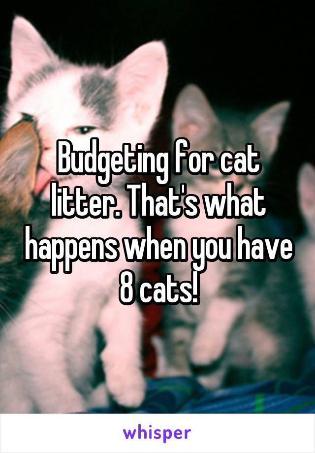 Budgeting for cat litter. That's what happens when you have 8 cats!