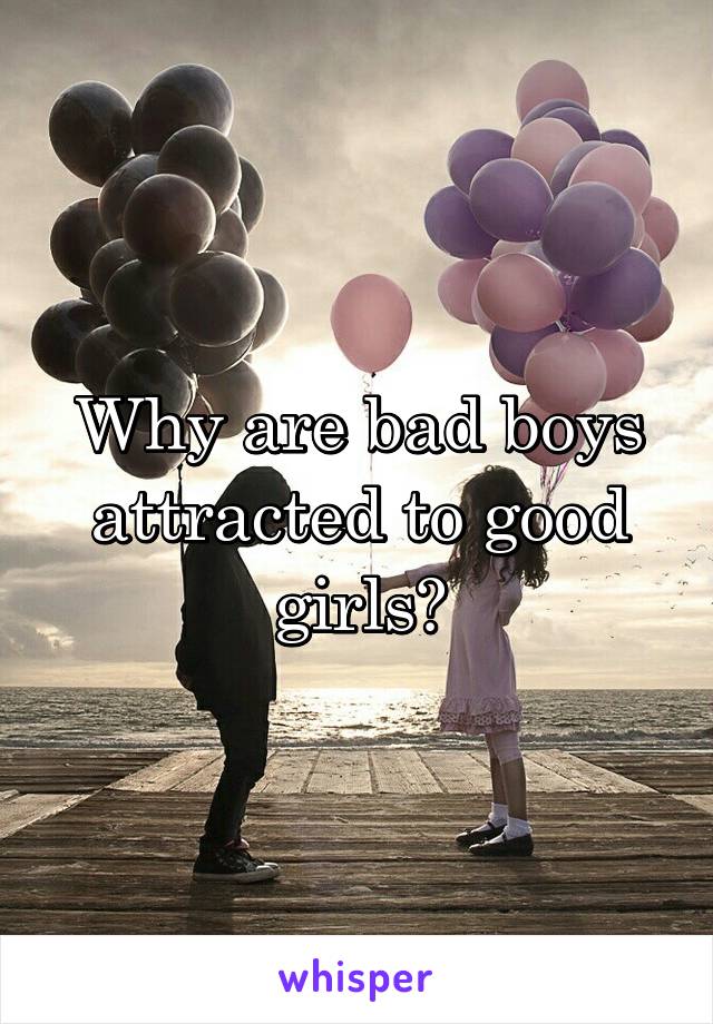 Why are bad boys attracted to good girls?