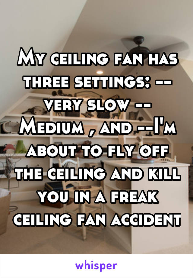 My ceiling fan has three settings: -- very slow -- Medium , and --I'm about to fly off the ceiling and kill you in a freak ceiling fan accident