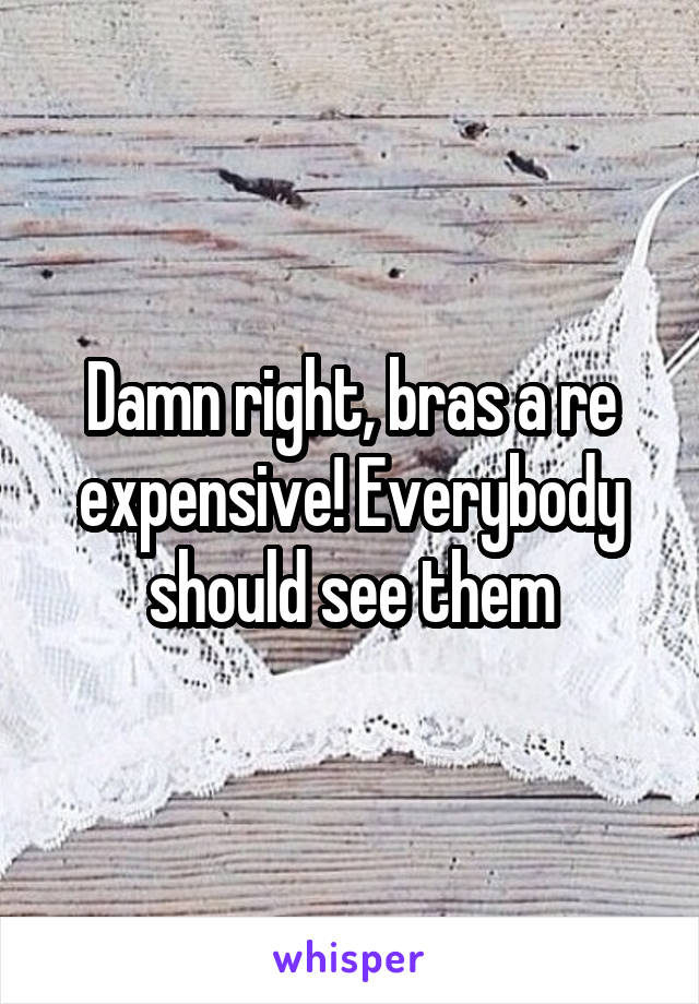 Damn right, bras a re expensive! Everybody should see them