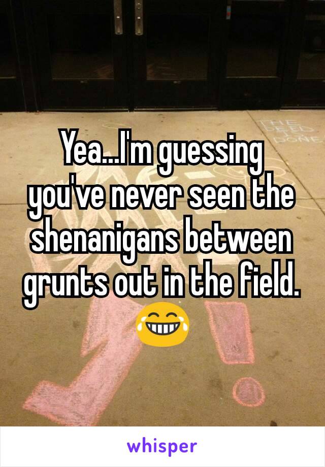 Yea...I'm guessing you've never seen the shenanigans between grunts out in the field.
😂