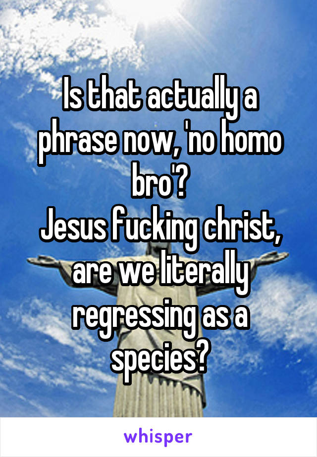 Is that actually a phrase now, 'no homo bro'?
Jesus fucking christ, are we literally regressing as a species?