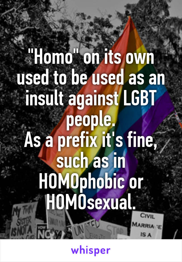 "Homo" on its own used to be used as an insult against LGBT people.
As a prefix it's fine, such as in HOMOphobic or HOMOsexual.