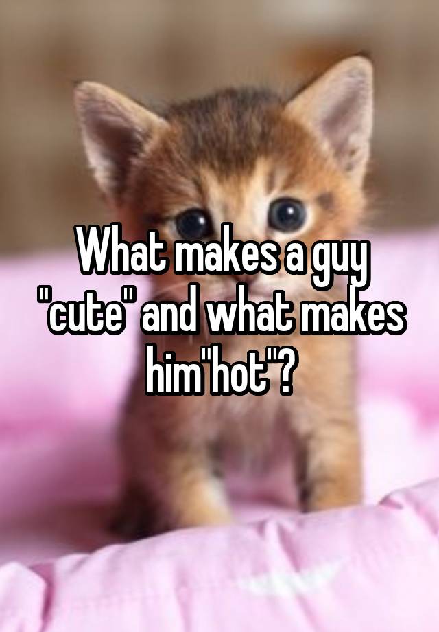 what-makes-a-guy-cute-and-what-makes-him-hot