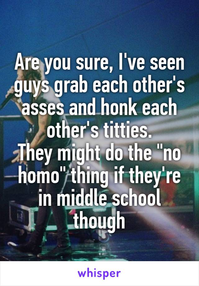 Are you sure, I've seen guys grab each other's asses and honk each other's titties.
They might do the "no homo" thing if they're in middle school though