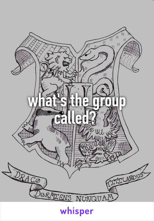 what's the group called? 