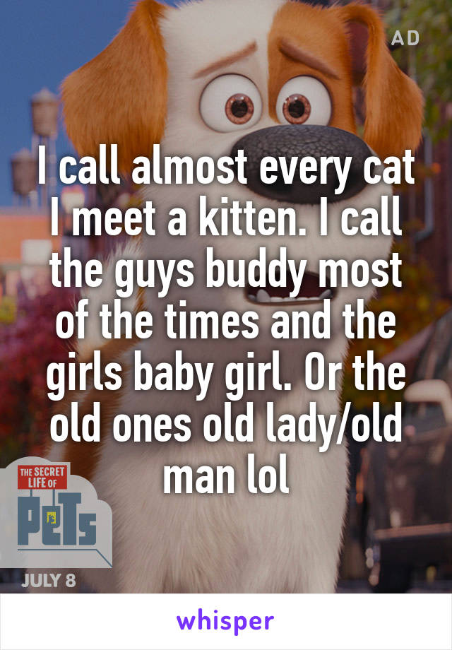 I call almost every cat I meet a kitten. I call the guys buddy most of the times and the girls baby girl. Or the old ones old lady/old man lol