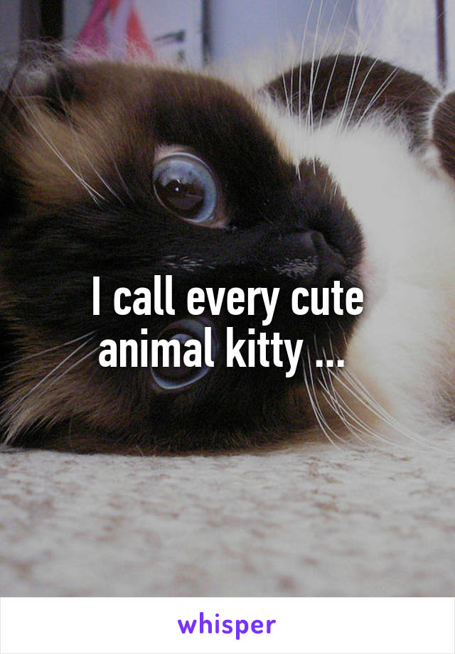 I call every cute animal kitty ... 