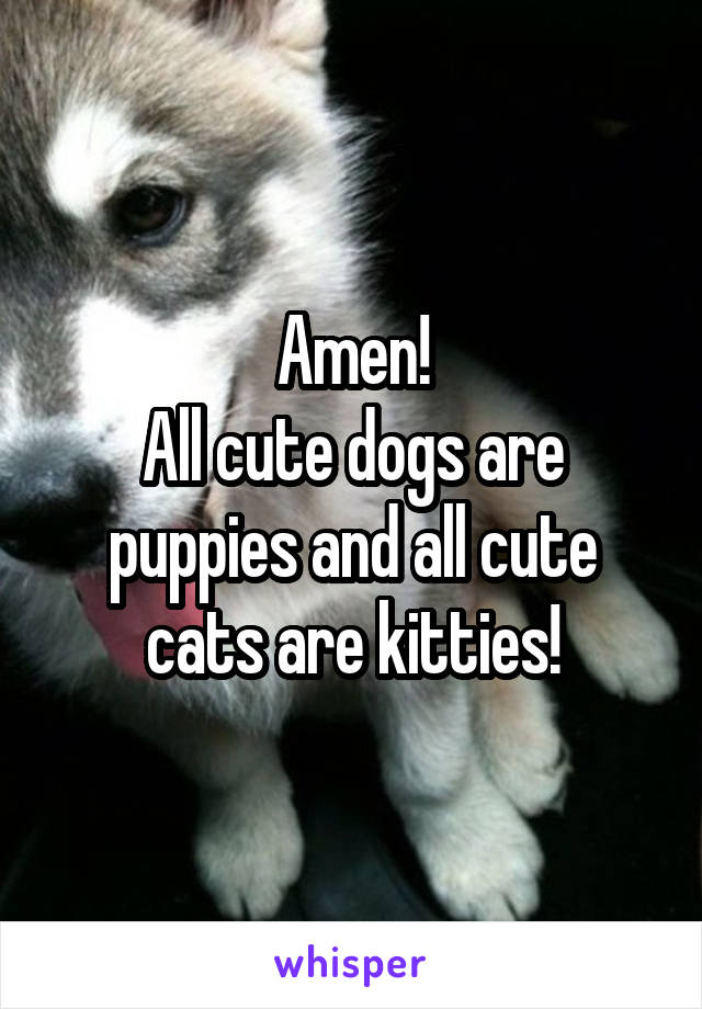 Amen!
All cute dogs are puppies and all cute cats are kitties!