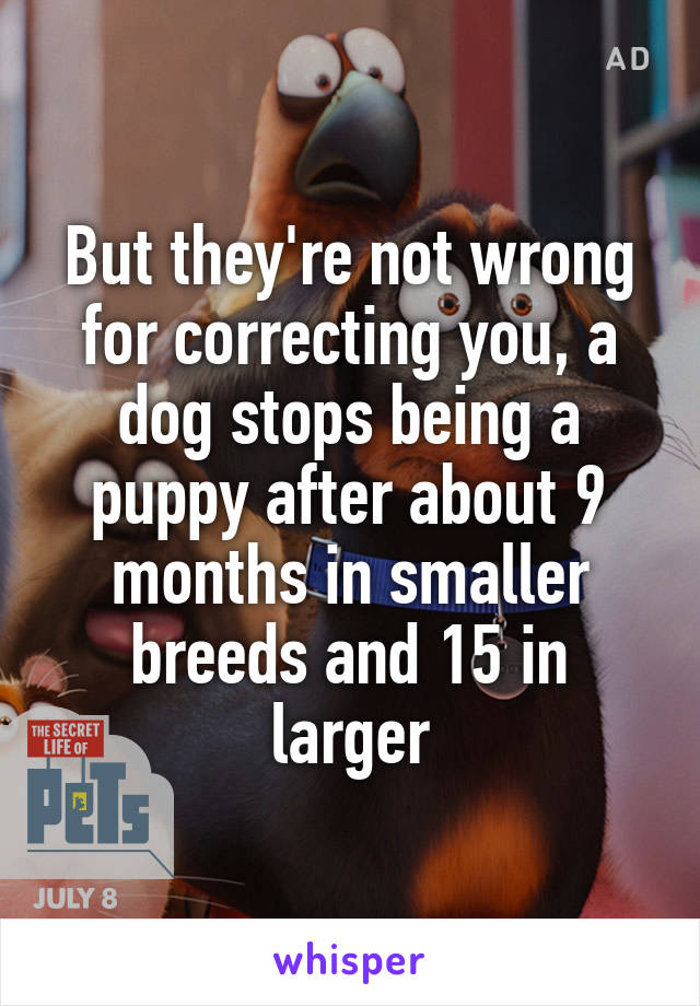 But they're not wrong for correcting you, a dog stops being a puppy after about 9 months in smaller breeds and 15 in larger