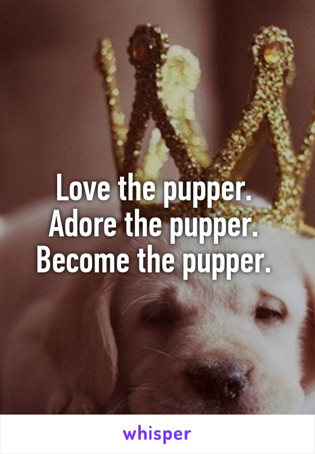 Love the pupper. 
Adore the pupper. 
Become the pupper. 