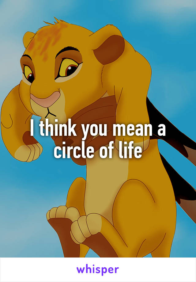 I think you mean a circle of life