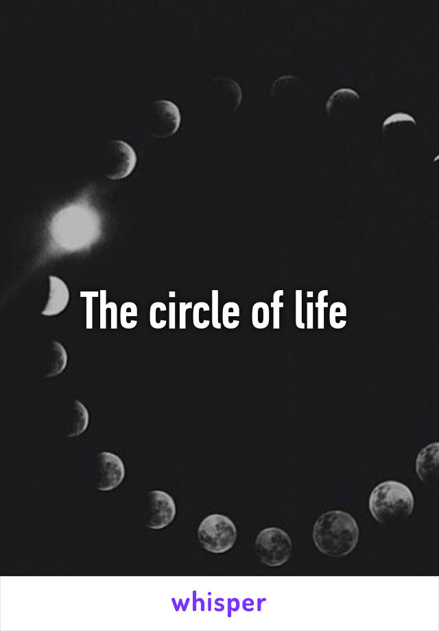 The circle of life 