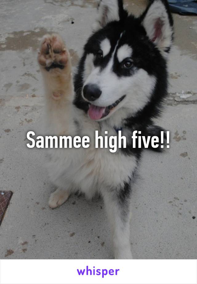 Sammee high five!!