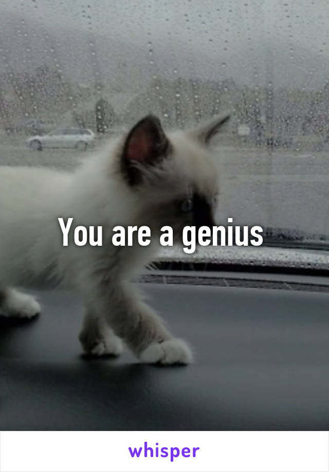 You are a genius 