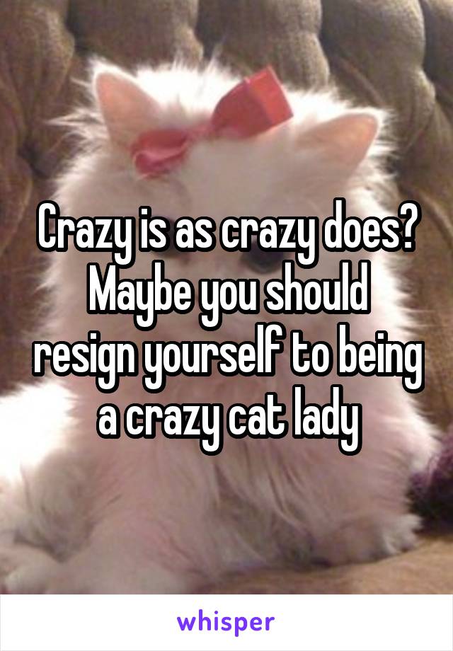 Crazy is as crazy does?
Maybe you should resign yourself to being a crazy cat lady