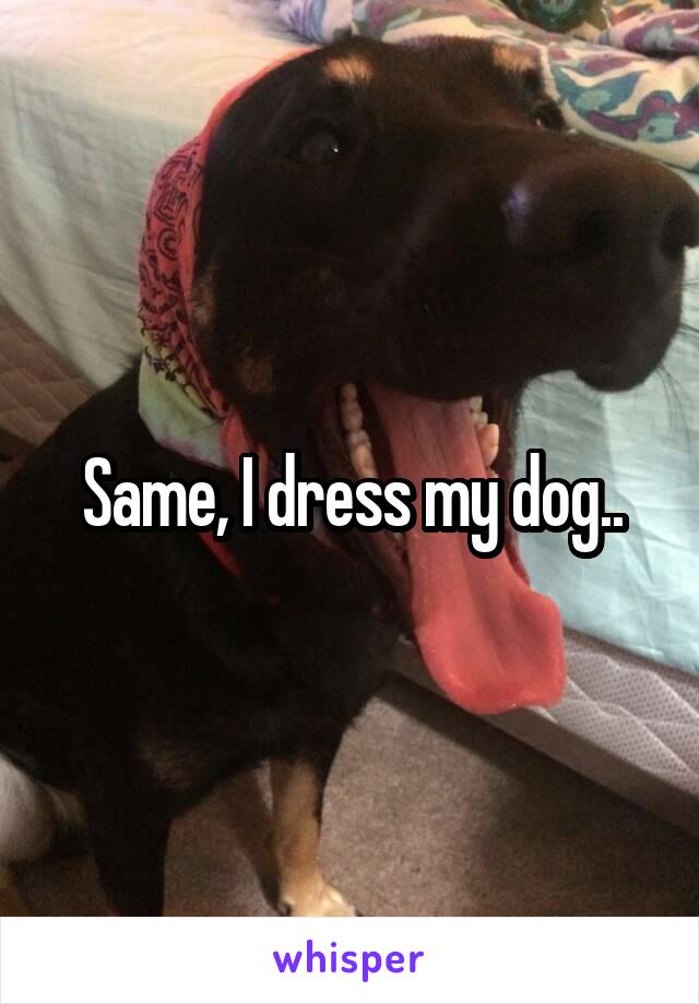 Same, I dress my dog..
