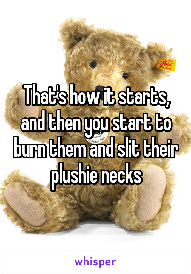 That's how it starts, and then you start to burn them and slit their plushie necks