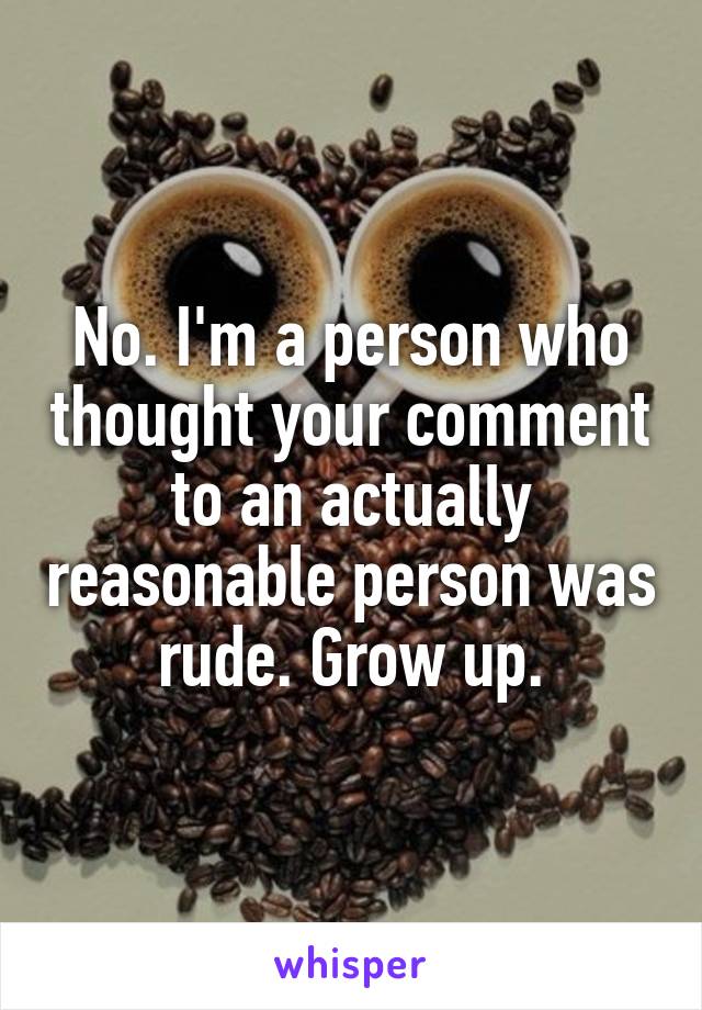 No. I'm a person who thought your comment to an actually reasonable person was rude. Grow up.