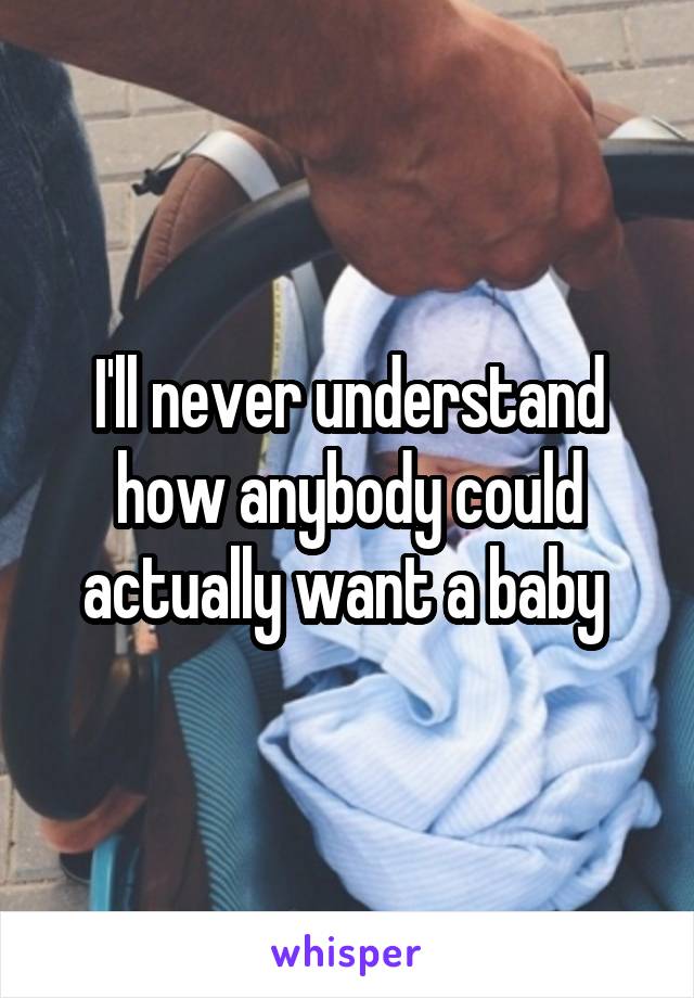 I'll never understand how anybody could actually want a baby 