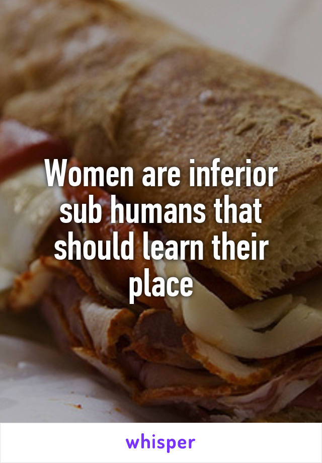 Women are inferior sub humans that should learn their place