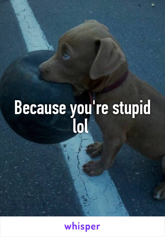 Because you're stupid lol 