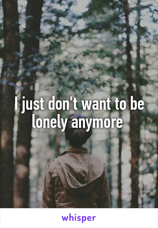 I just don't want to be lonely anymore 