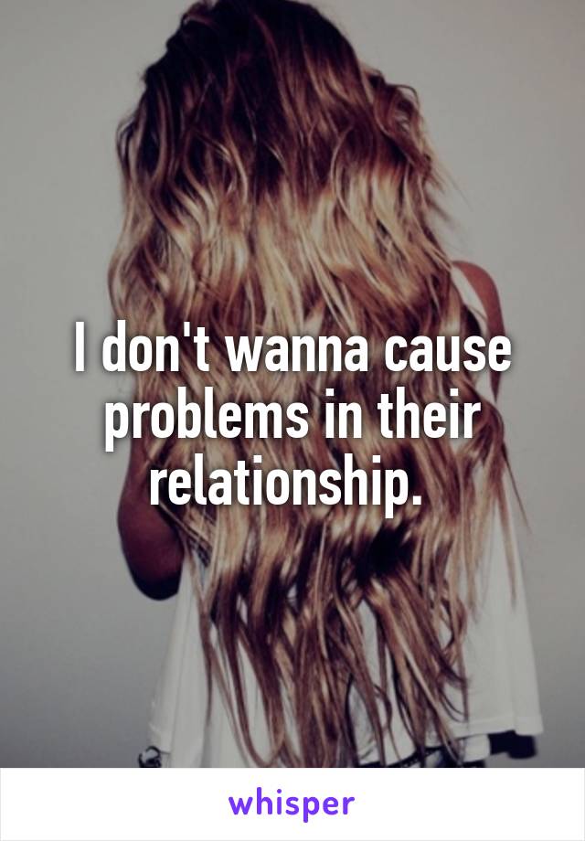I don't wanna cause problems in their relationship. 