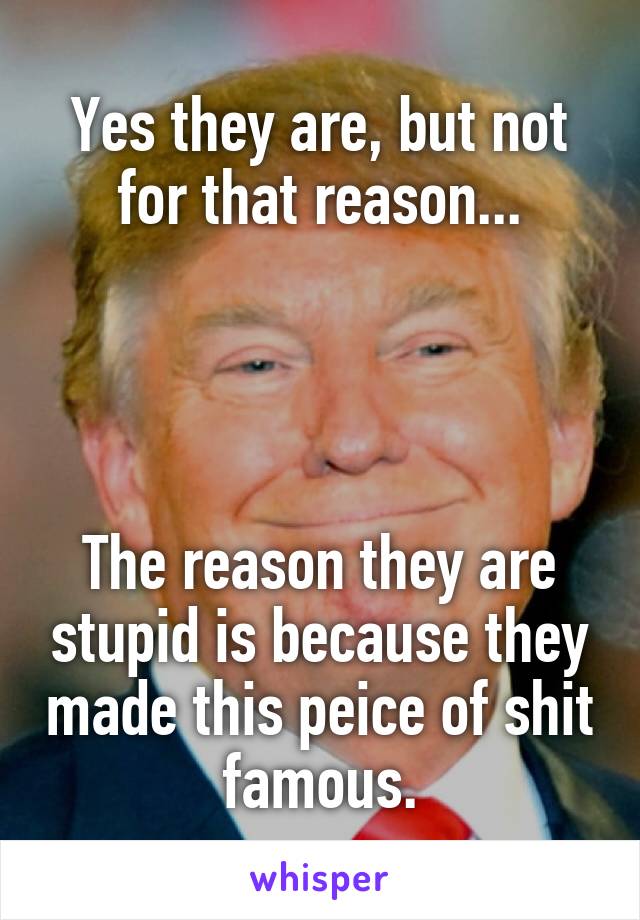 Yes they are, but not for that reason...




The reason they are stupid is because they made this peice of shit famous.