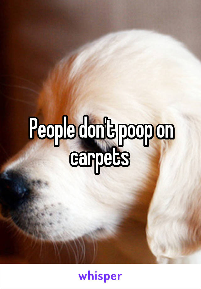 People don't poop on carpets 