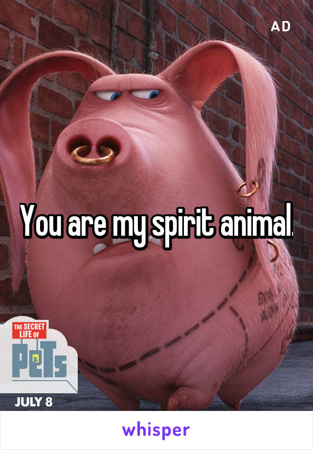 You are my spirit animal.