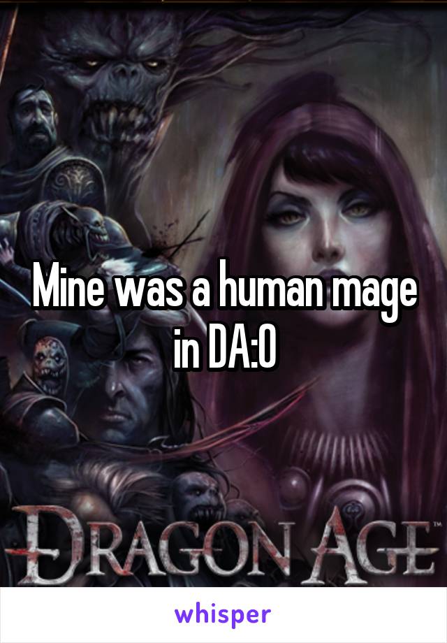 Mine was a human mage in DA:O