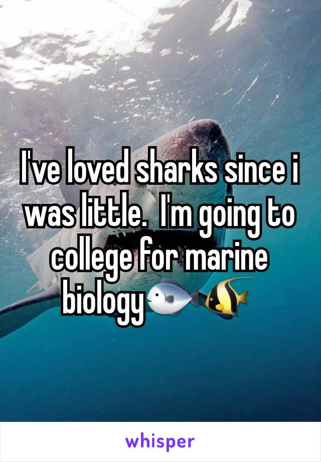 I've loved sharks since i was little.  I'm going to college for marine biology🐟🐠