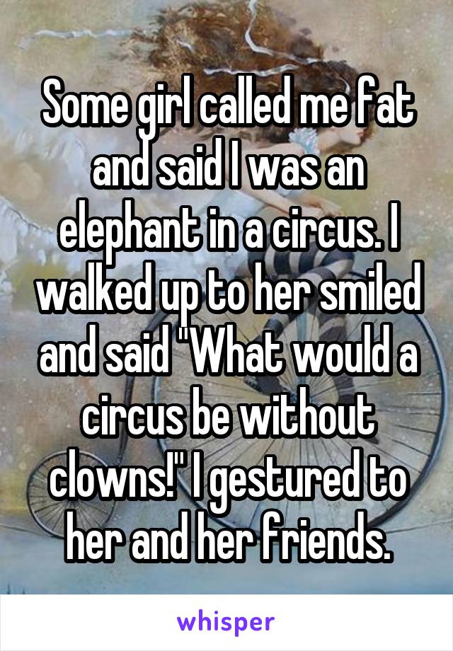 Some girl called me fat and said I was an elephant in a circus. I walked up to her smiled and said "What would a circus be without clowns!" I gestured to her and her friends.
