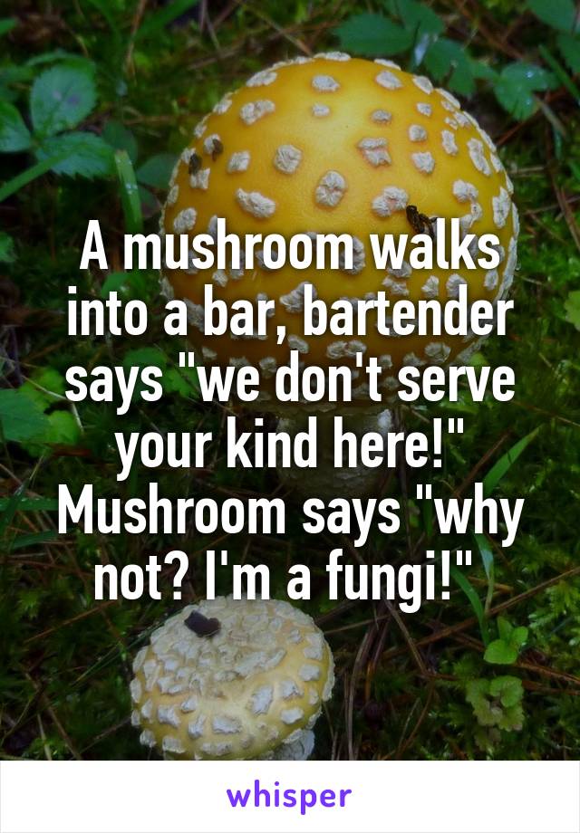 A mushroom walks into a bar, bartender says "we don't serve your kind here!" Mushroom says "why not? I'm a fungi!" 