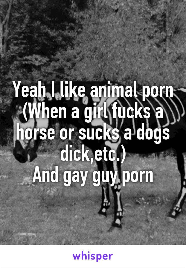 Yeah I like animal porn
(When a girl fucks a horse or sucks a dogs dick,etc.)
And gay guy porn