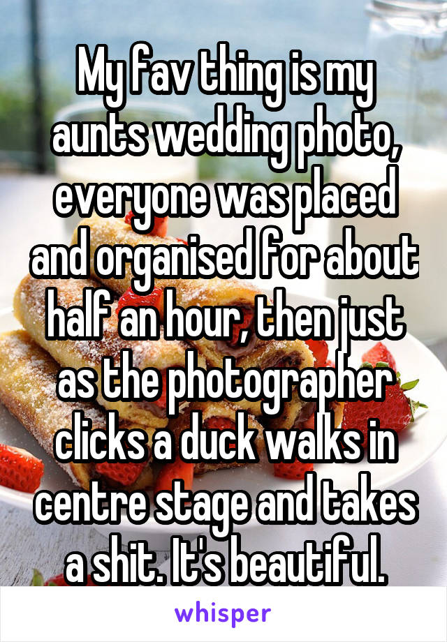 My fav thing is my aunts wedding photo, everyone was placed and organised for about half an hour, then just as the photographer clicks a duck walks in centre stage and takes a shit. It's beautiful.