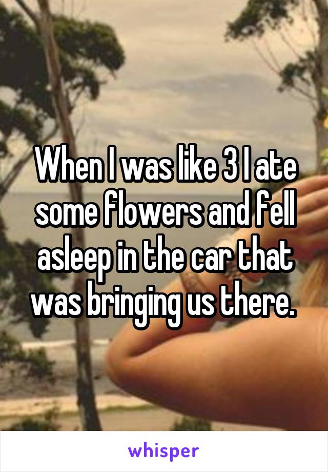 When I was like 3 I ate some flowers and fell asleep in the car that was bringing us there. 