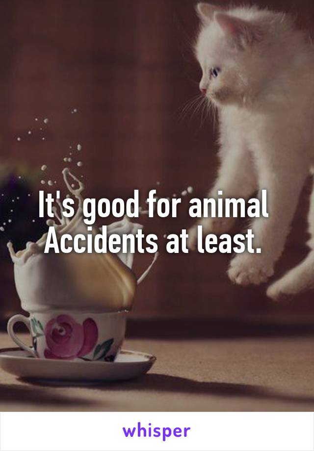 It's good for animal 
Accidents at least. 