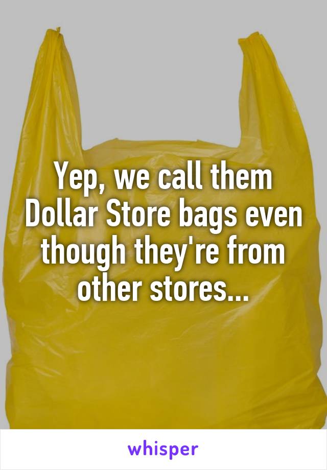 Yep, we call them Dollar Store bags even though they're from other stores...