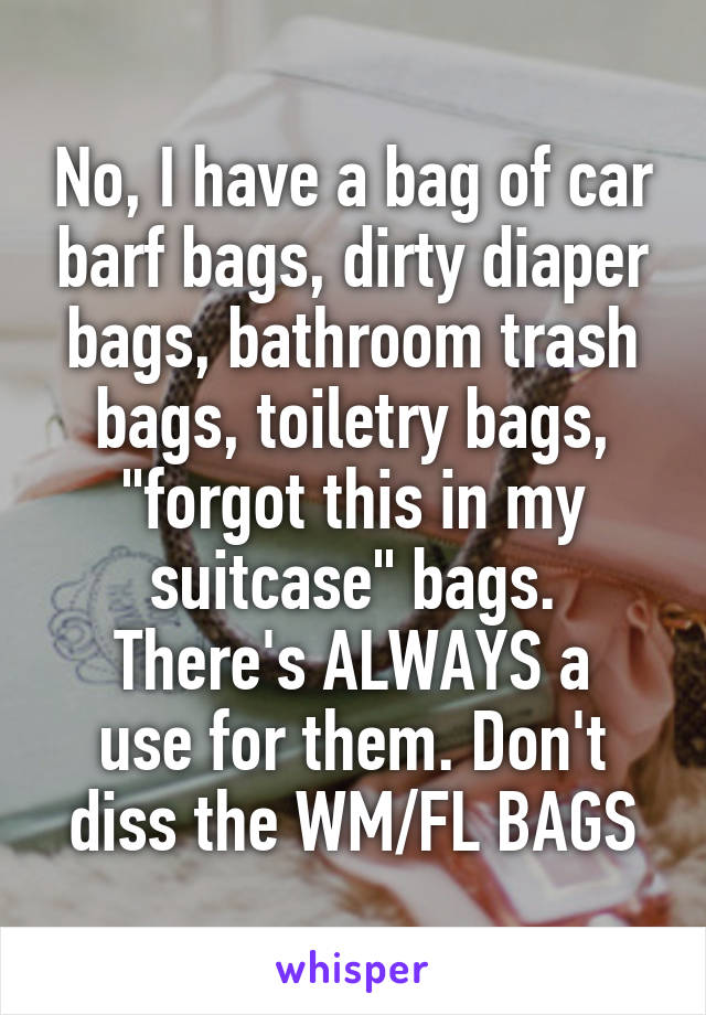 No, I have a bag of car barf bags, dirty diaper bags, bathroom trash bags, toiletry bags, "forgot this in my suitcase" bags.
There's ALWAYS a use for them. Don't diss the WM/FL BAGS