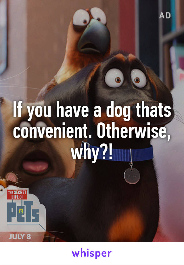 If you have a dog thats convenient. Otherwise, why?!