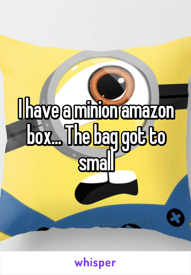 I have a minion amazon box... The bag got to small