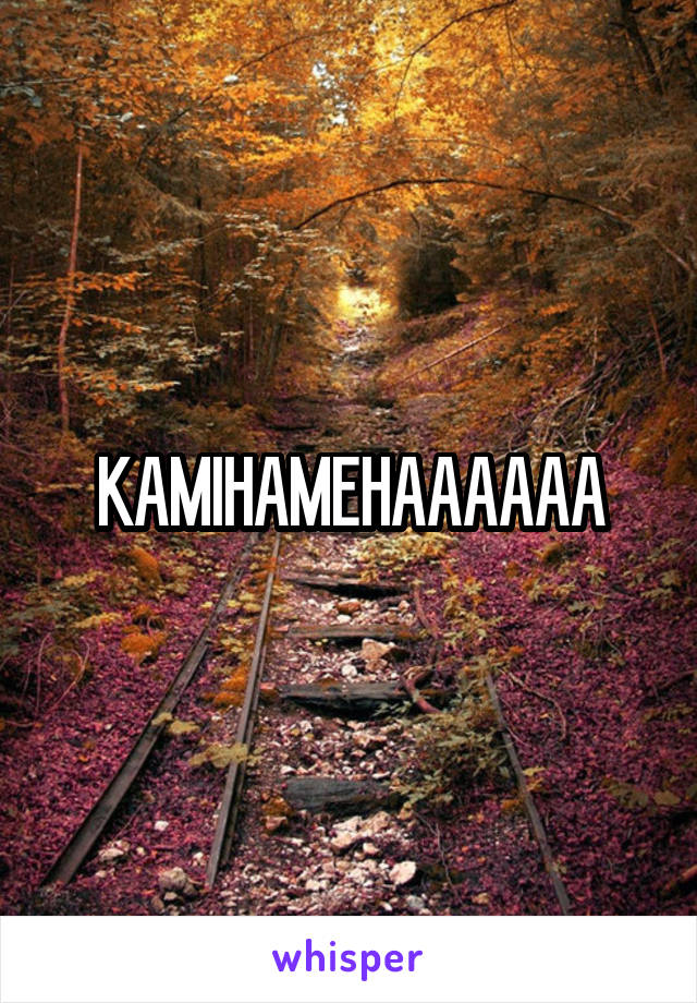 KAMIHAMEHAAAAAA