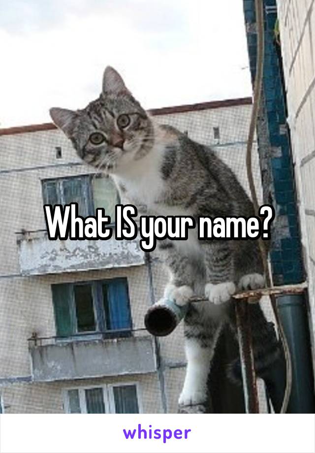 What IS your name?