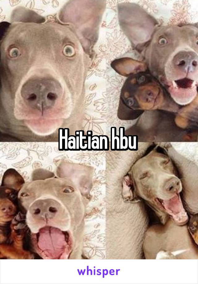 Haitian hbu 