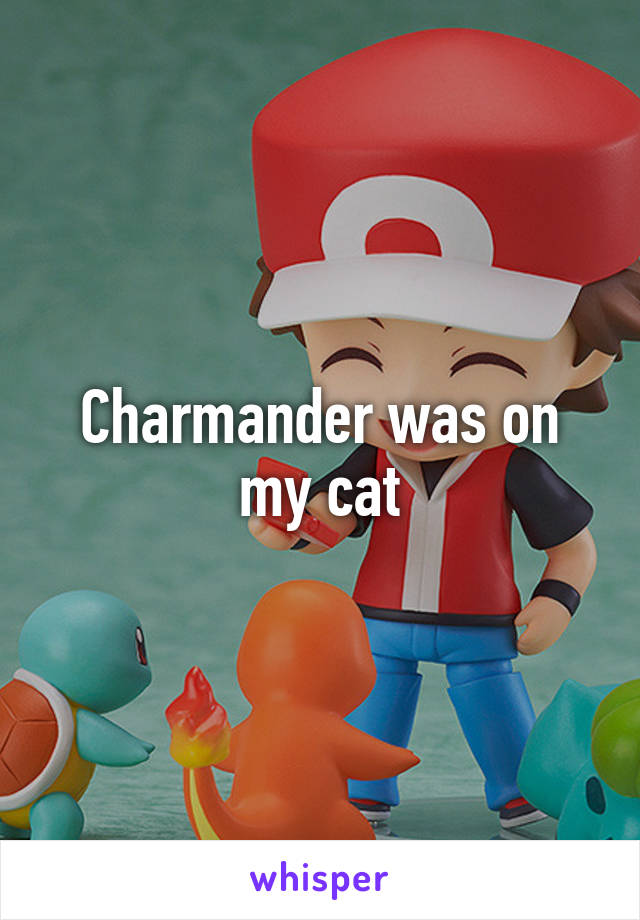 Charmander was on my cat