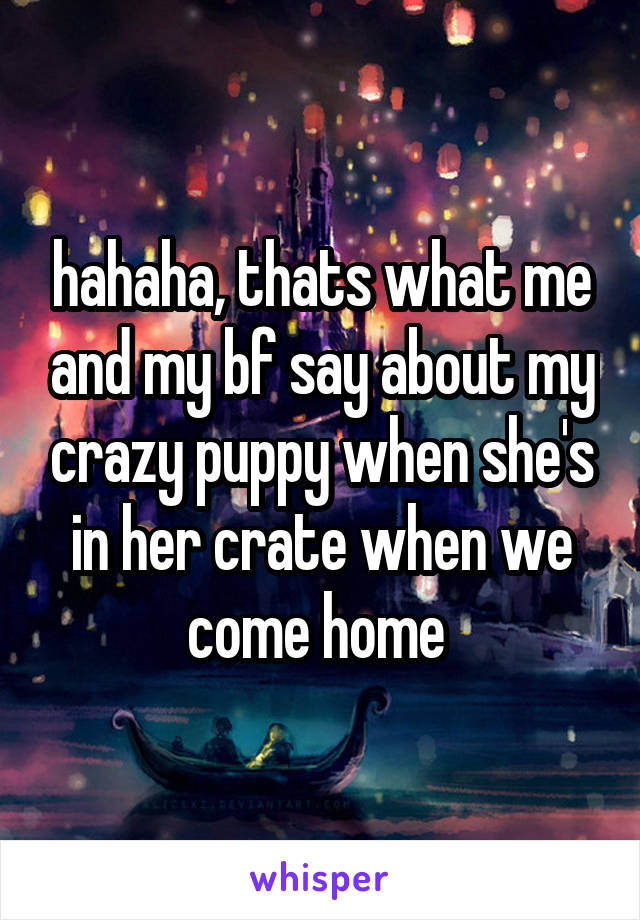 hahaha, thats what me and my bf say about my crazy puppy when she's in her crate when we come home 